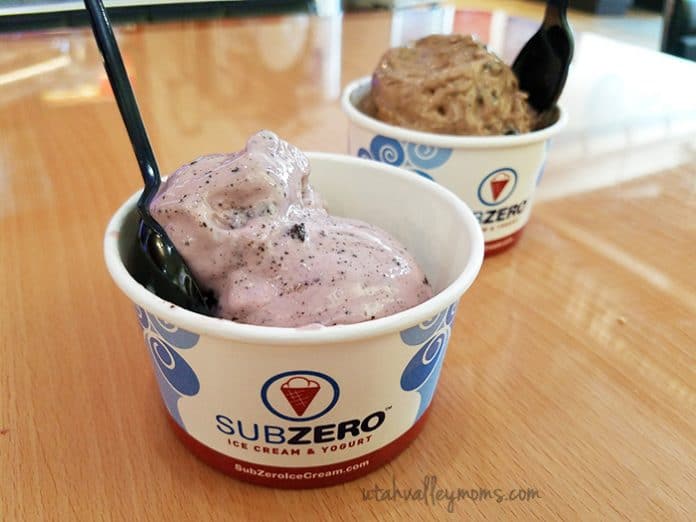 Sub Zero Ice Cream Review