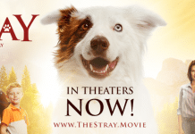 The Stray movie review